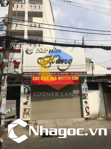 Cho thuê nhà 262 Tân Kỳ Tân Quý, Phường Sơn Kỳ, Quận Tân Phú, Hồ Chí Minh