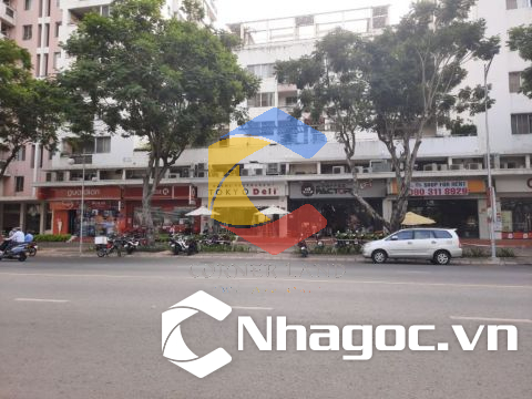 Cho thuê ShopHouse 111 Nguyễn Đức Cảnh, Phường Tân Phong,  Quận 7, Hồ Chí Minh