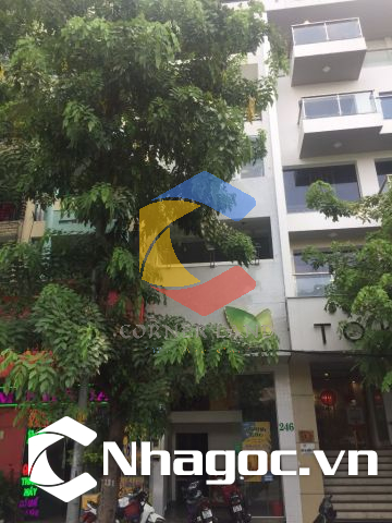 Cho thuê nhà 246 Phan Xích Long, Phường 7, Quận Phú Nhuận, Hồ Chí Minh