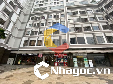 Cho thuê ShopHouse 33 Nguyễn Hữu Thọ, Phường Tân Hưng,  Quận 7, Hồ Chí Minh