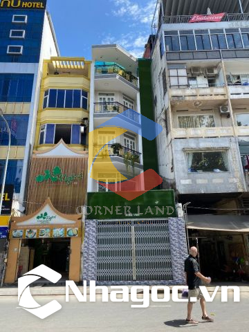 Cho thuê nhà 14 Bùi Viện, Phường Phạm Ngũ Lão,  Quận 1, Hồ Chí Minh