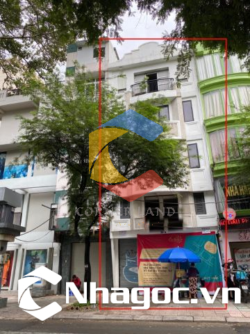 Cho thuê nhà 31A Lê Thánh Tôn, Phường Bến Nghé,  Quận 1, Hồ Chí Minh