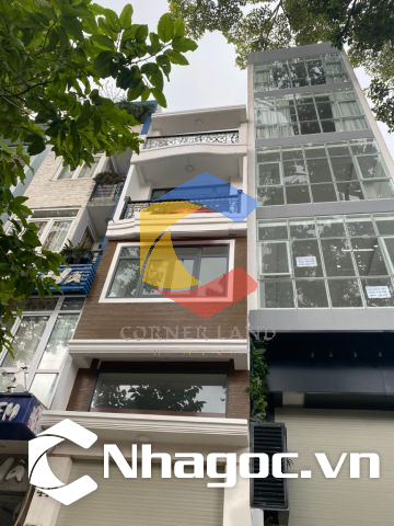 Cho thuê nhà 447 Nguyễn Tri Phương, Phường Diên Hồng, Hồ Chí Minh