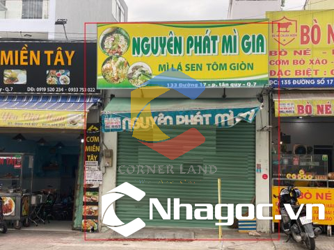 Cho thuê nhà 133 Số 17, Phường Tân Quy,  Quận 7, Hồ Chí Minh