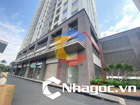 Cho thuê ShopHouse Góc 2MT 239-241 Hòa Bình, Phường Hiệp Tân, Quận Tân Phú, Hồ Chí Minh