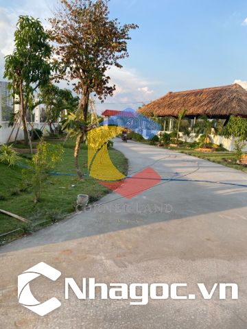 Bán đất đất Góc 2MT A1 Nguyễn Xiển, Phường Long Thạnh Mỹ,  Quận 9, Hồ Chí Minh