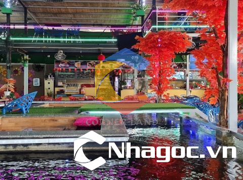 Cho thuê nhà 241A Tân Hòa Đông, Phường 14,  Quận 6, Hồ Chí Minh