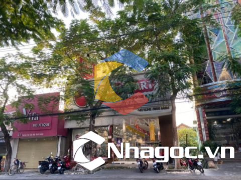 Cho thuê nhà Góc 2MT 38 Yersin, Phường Hiệp Thành, Thành phố Thủ Dầu Một, Bình Dương