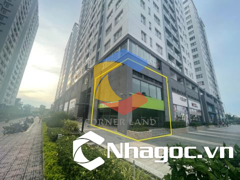 Cho thuê ShopHouse Góc 2MT 08 Số 6, Phường Tân Hưng,  Quận 7, Hồ Chí Minh