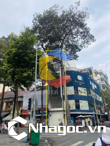 Cho thuê tòa nhà 212 Nguyễn Công Trứ, Phường Nguyễn Thái Bình,  Quận 1, Hồ Chí Minh