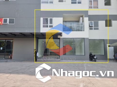 Cho thuê ShopHouse 37 Cao Lỗ, Phường 4,  Quận 8, Hồ Chí Minh