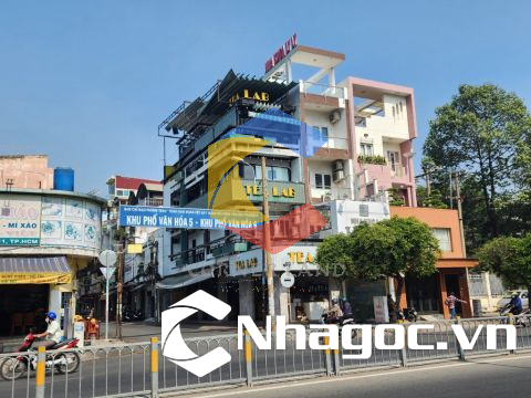 Cho thuê nhà Góc 2MT 343A Lạc Long Quân, Phường Hòa Bình, Hồ Chí Minh