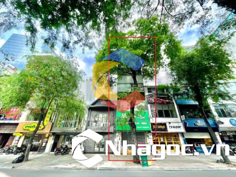 Cho thuê nhà 17/8 Lê Thánh Tôn, Phường Bến Nghé,  Quận 1, Hồ Chí Minh