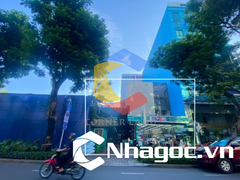 Cho thuê nhà 24C Trương Định, Phường 6,  Quận 3, Hồ Chí Minh