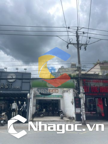 Cho thuê nhà 919 Hậu Giang, Phường Bình Phú, Hồ Chí Minh