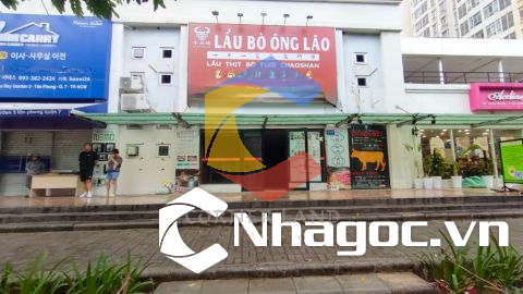 Cho thuê nhà S84-1 Phạm Văn Nghị, Phường Tân Phong,  Quận 7, Hồ Chí Minh