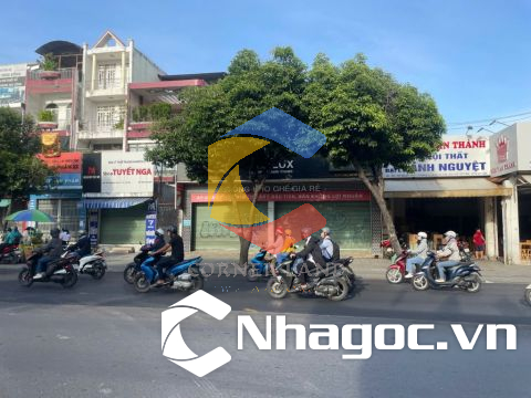Cho thuê nhà 159 Nguyễn Oanh, Phường 10, Quận Gò Vấp, Hồ Chí Minh