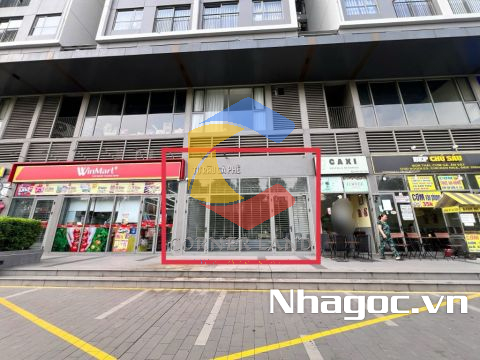 Cho thuê ShopHouse 98 Tân Túc, Thị trấn Tân Túc, Huyện Bình Chánh, Hồ Chí Minh