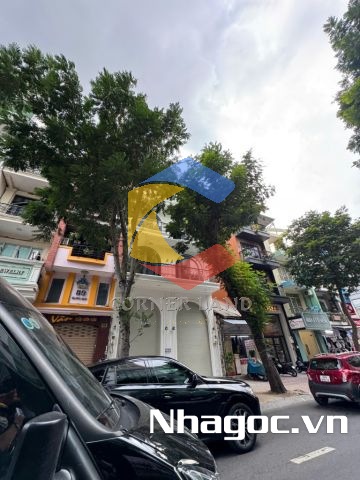 Cho thuê nhà 91-93 Trương Định, Phường 6,  Quận 3, Hồ Chí Minh