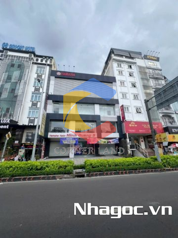 Cho thuê nhà 5 Cộng Hòa, Phường 4, Quận Tân Bình, Hồ Chí Minh