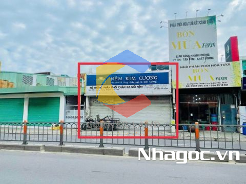 Cho thuê nhà 1170 Quang Trung, Phường 8, Quận Gò Vấp, Hồ Chí Minh