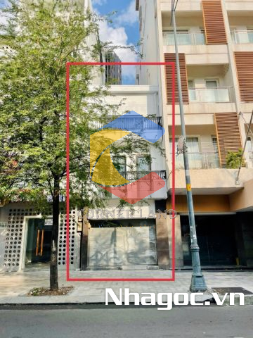 Cho thuê nhà 115 Lê Thánh Tôn, Phường Bến Nghé,  Quận 1, Hồ Chí Minh