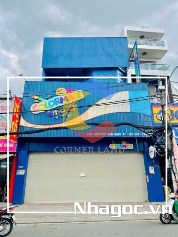 Cho thuê nhà 233 Nguyễn Văn Nghi, Phường 7, Quận Gò Vấp, Hồ Chí Minh