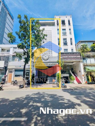 Cho thuê tòa nhà 262 Nguyễn Đình Chiểu, Phường 6,  Quận 3, Hồ Chí Minh