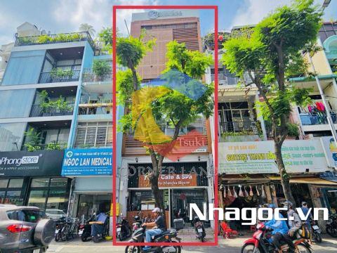 Cho thuê nhà 123-125 Nguyễn Thiện Thuật, Phường 2,  Quận 3, Hồ Chí Minh