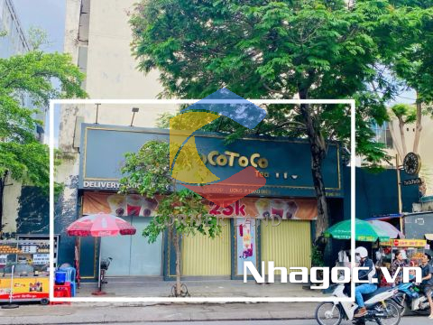 Cho thuê nhà 51 Quốc Hương, Phường Thảo Điền,  Quận 2, Hồ Chí Minh