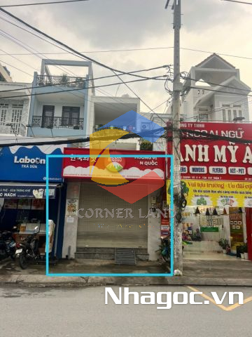 Cho thuê nhà 81 Số 17, Phường Tân Quy,  Quận 7, Hồ Chí Minh