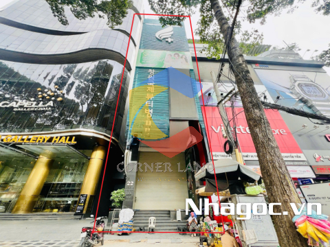 Cho thuê tòa nhà 22 3/2, Phường 12,  Quận 10, Hồ Chí Minh