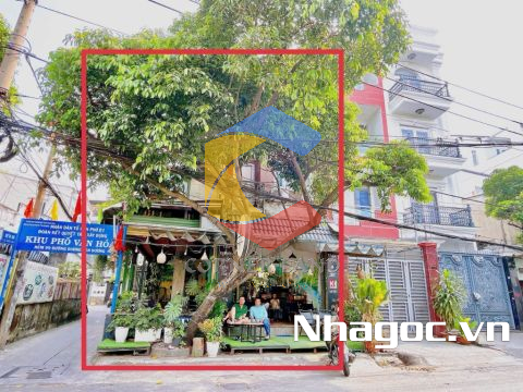 Bán nhà Góc 2MT 101 Dương Văn Dương, Phường Tân Quý, Quận Tân Phú, Hồ Chí Minh