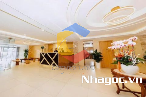 Cho thuê tòa nhà 549 Trần Hưng Đạo, Phường Cầu Kho,  Quận 1, Hồ Chí Minh