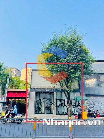 Cho thuê nhà 187 Hai Bà Trưng, Phường 6,  Quận 3, Hồ Chí Minh