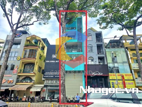 Cho thuê tòa nhà 393 Nguyễn Tri Phương, Phường 5,  Quận 10, Hồ Chí Minh