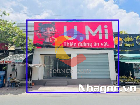 Cho thuê nhà 748 Tỉnh Lộ 10, Phường Bình Trị Đông, Quận Bình Tân, Hồ Chí Minh