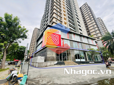 Cho thuê ShopHouse Góc 2MT 99 Nguyễn Thị Thập, Phường Tân Phú,  Quận 7, Hồ Chí Minh