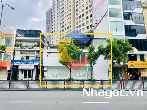 Cho thuê nhà 164 Nguyễn Văn Trỗi, Phường 8, Quận Phú Nhuận, Hồ Chí Minh