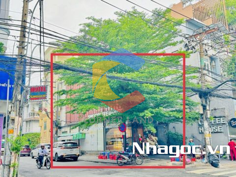 cho thue mat bang mat tien duong dinh tien hoang dt 8x14 ham tret lung 7 lau gia 14000usd thang