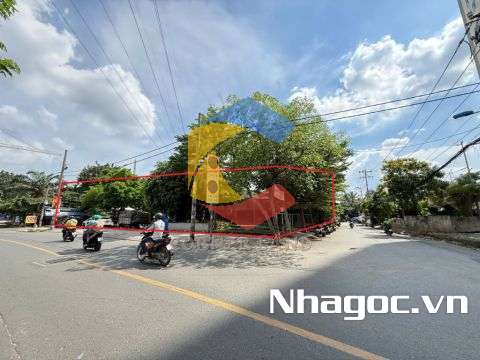 Cho thuê nhà 815 Hương lộ 2, Phường Bình Trị Đông A, Quận Bình Tân, Hồ Chí Minh