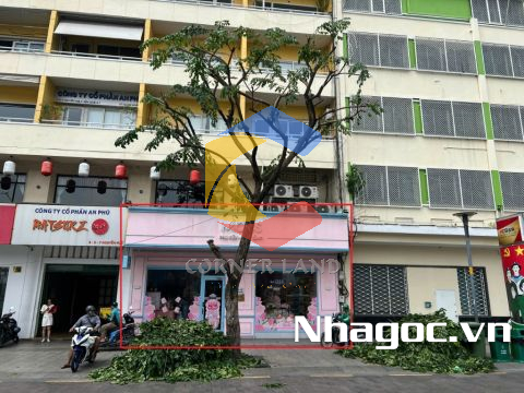cho thue mat bang mat tien duong dinh tien hoang dt 8x14 ham tret lung 7 lau gia 14000usd thang